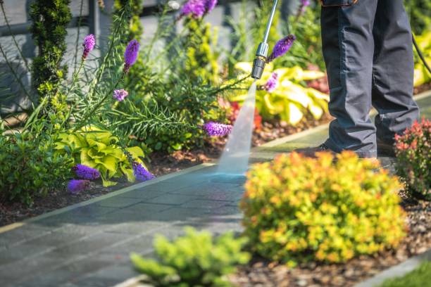 Best Post-Construction Pressure Washing  in Taylors Falls, MN